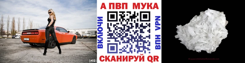 omg вход  Шенкурск  A-PVP мука  где можно купить наркотик 