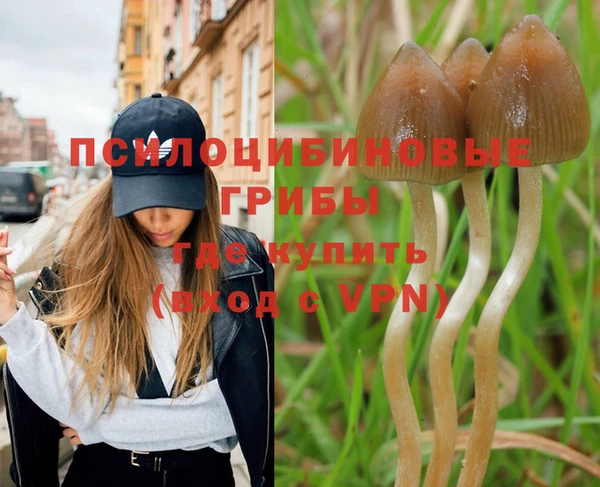 соль курить ск Бородино