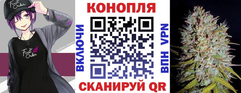 где продают   Шенкурск  Канабис гибрид 